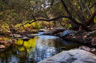 San Marcos Creek-8590.jpg San Marcos Creek-8590.jpg